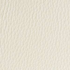 Winter White
