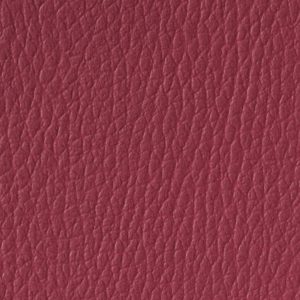 Cranberry