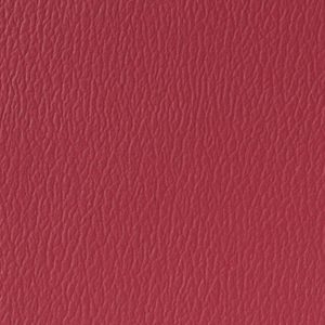 Raspberry