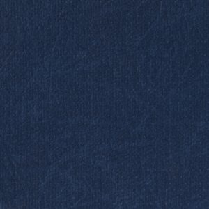 Royal Navy