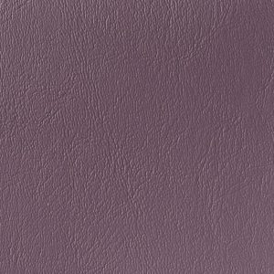 Woodviolet