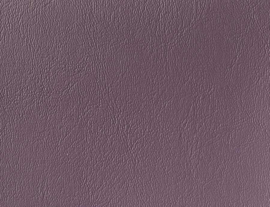 Woodviolet