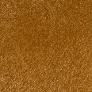 Bark