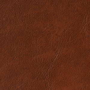 Terra Cotta