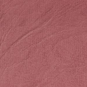 Raspberry Yoghurt