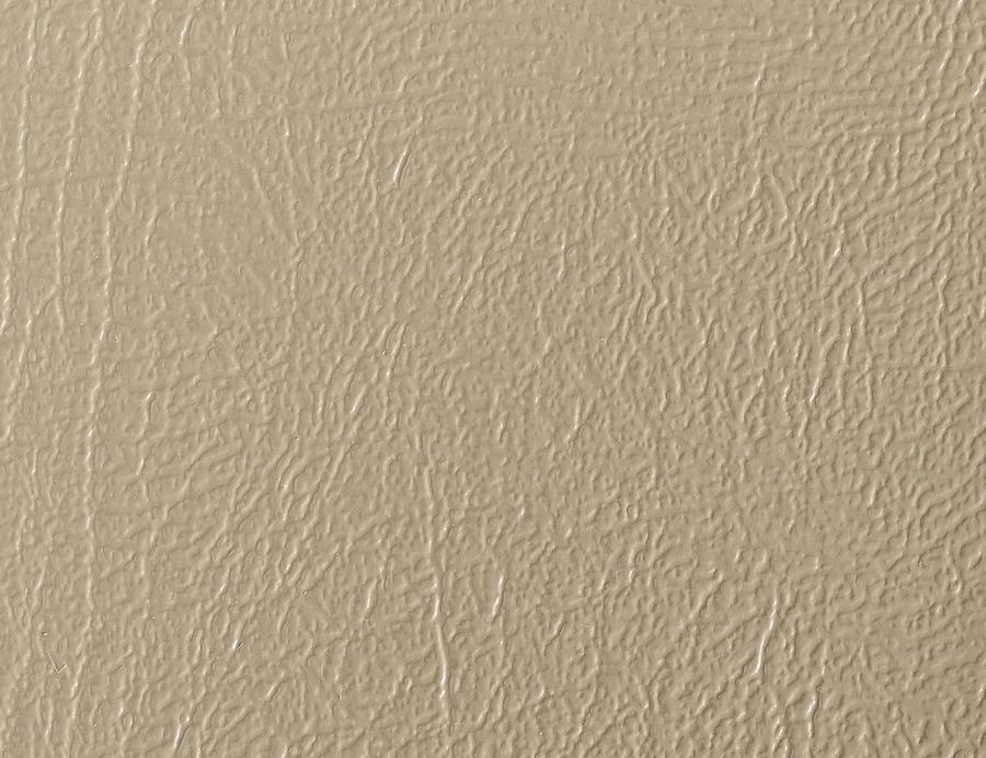 Prairie Tan