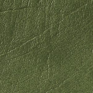 Medium Green