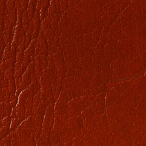 Firethorn