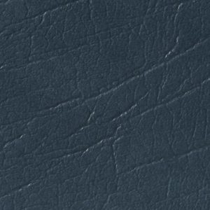 Wedgewood Blue