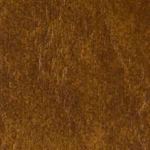 Buckskin