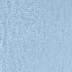 Tropical Blue
