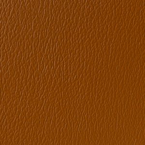Cinnamon
