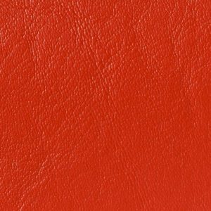 Cardinal