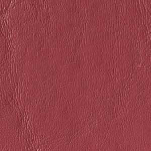 Raspberry
