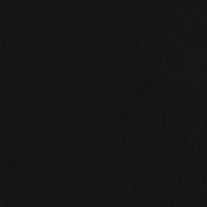 Onyx Black