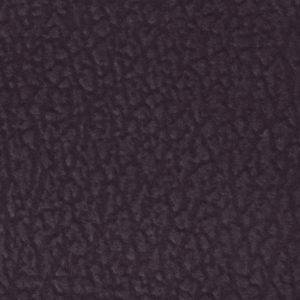 Purple Gray