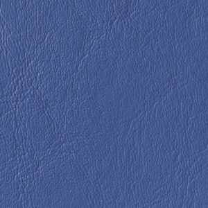 Coastal Blue