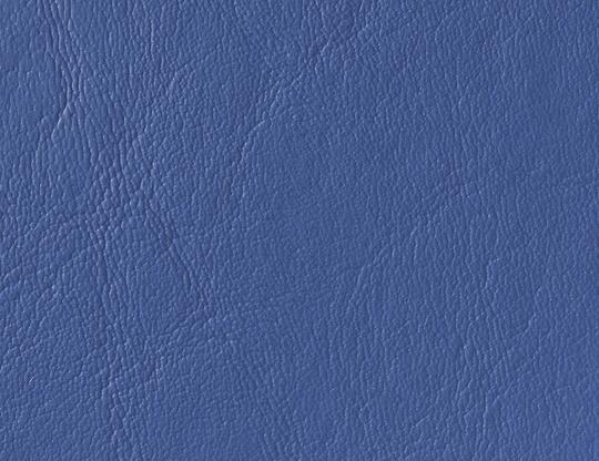 Coastal Blue