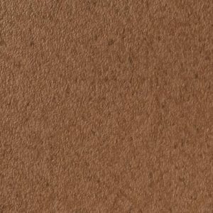 Pecan