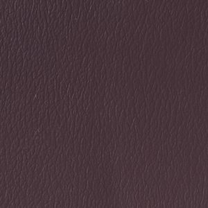 Purple Gray