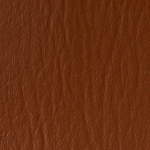 Cinnamon