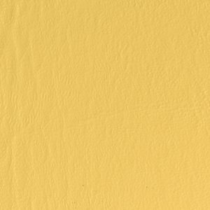 Lemon Peel