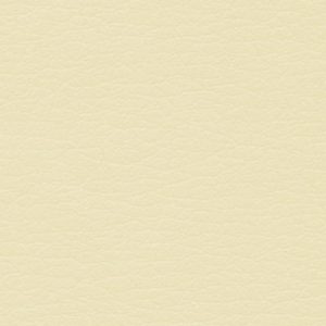 Vellum