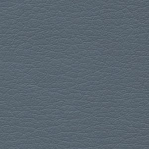 French Blue