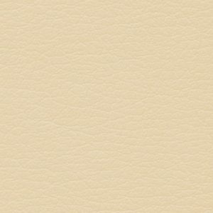 French Vanilla