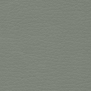Dove Grey