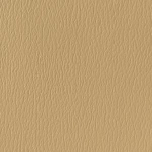 Vicuna