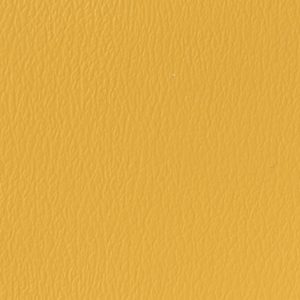 Golden Corn