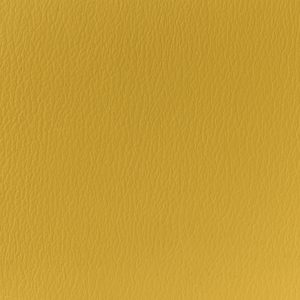 Goldenrod