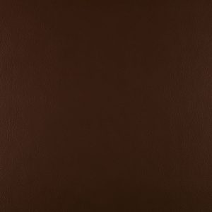 Cocoa