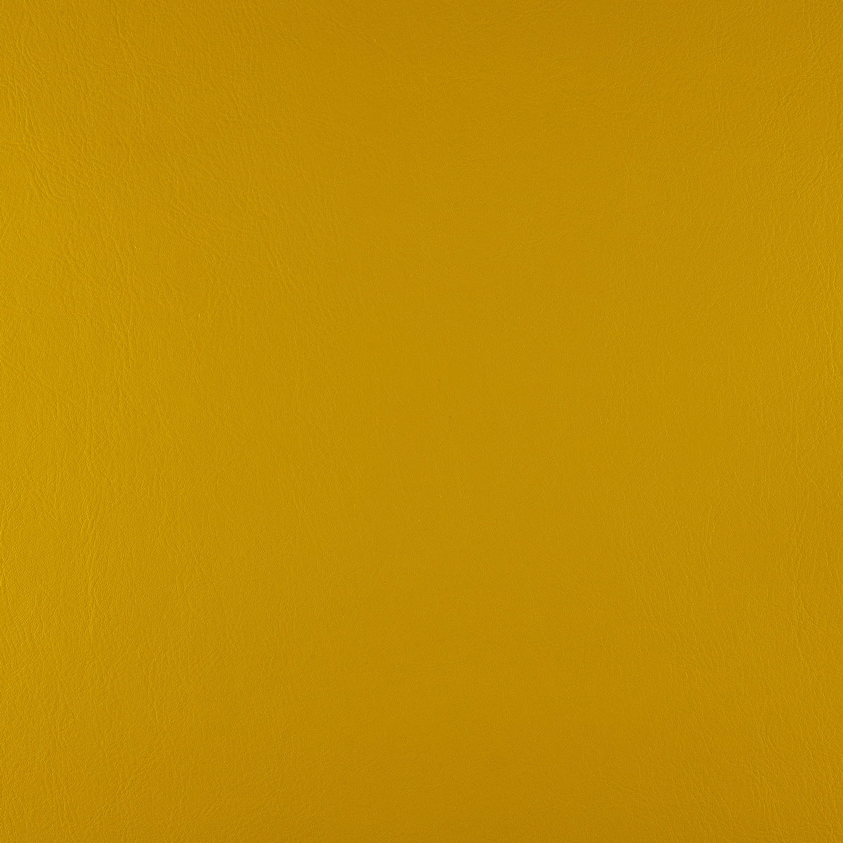Golden Honey
