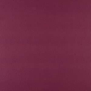 Jazzberry