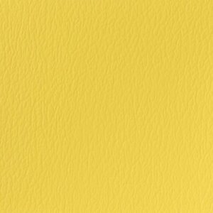 Sun Yellow