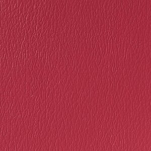 Raspberry
